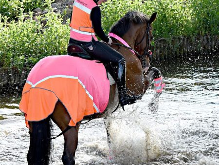 EQUISAFETY BREATHABLE MESH QUARTER SHEET PINK ORANGE For Discount