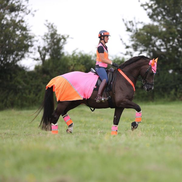 EQUISAFETY BREATHABLE MESH QUARTER SHEET PINK ORANGE For Discount