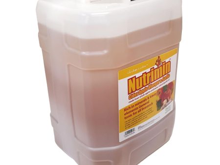 Agrivite Chicken Lickin Nutrimin Cider Vinegar & Garlic 20ltr Sale