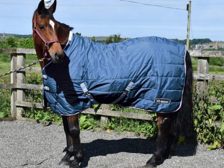 Whitaker Crompton Stable Rug 100Gm Petrol 6  6  For Sale