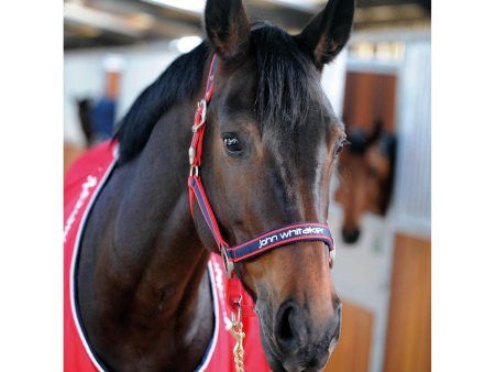 Whitaker Padded Fleece Headcollar Red Navy Cob For Discount